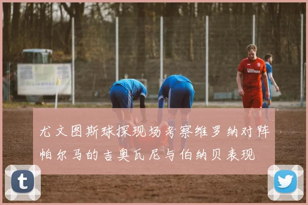 尤文图斯球探现场考察维罗纳对阵帕尔马的吉奥瓦尼与伯纳贝表现