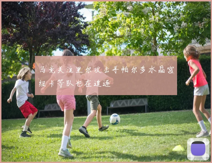 马竞关注里尔攻击手帕尔多水晶宫纽卡等队也在追逐